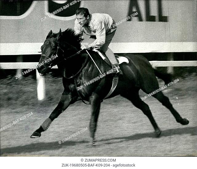 May 05, 1968 - Derby Favorite At Early Morning Gallof: Photo Shows Sir Ivor, favorite for tomorrow's Derby - pictures at Epsom today, ridden by his Derby Jockey