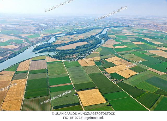 Ebro river Agricultural landscape  Gelsa Village  Quinto Village  Zaragoza Province, Aragon, Spain, Europe