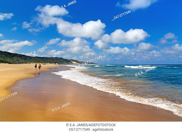 Thonga Beach Indian Ocean coast of Maputuland in KwaZulu-Natal