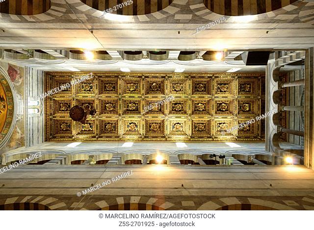Coffer ceiling, Interior of the medieval cathedral of the Archdiocese of Pisa, dedicated to Santa Maria Assunta, St. Mary of the Assumption, Pisa, Tuscany