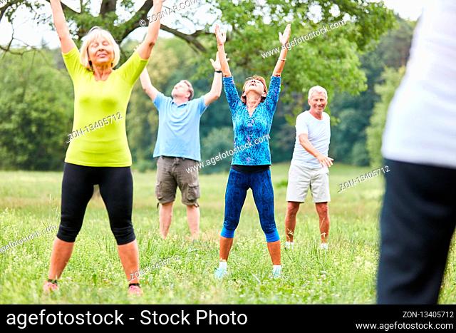 Gruppe Senioren trainiert Fitness in einem Gymnastik oder Yoga Kurs im Park
