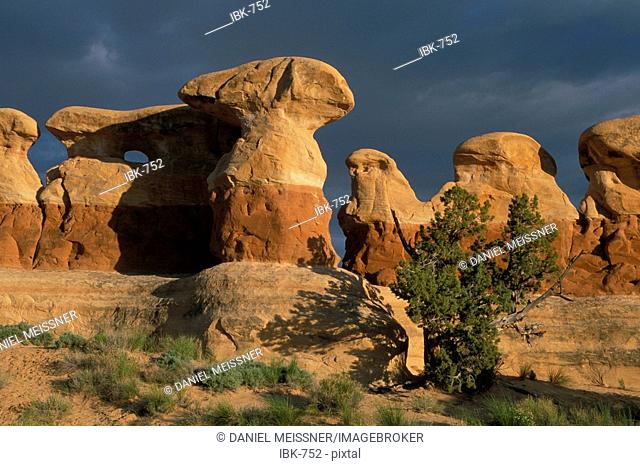 Sandstone formations at sunset Devils Garden Grand Staircase Escalante National Monument Utah USA