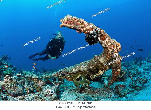Scuba diver finds old Anchor in Coral Reef, North Male Atoll, Maldives