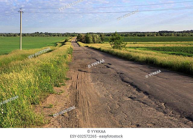 Rural road in the green fields. Omsk region