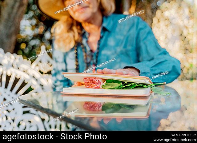 Senior woman pressing rose blossom between book pages