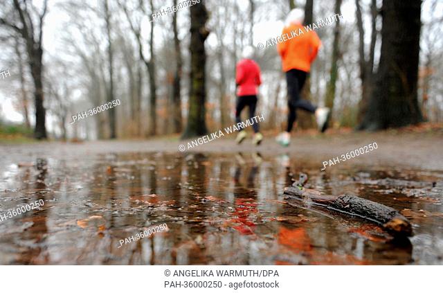 Joggers run past a puddle in the public park in Hamburg, Germany, 5 January 2013. Photo: Angelika Warmuth | usage worldwide. - Hamburg/Hamburg/Germany
