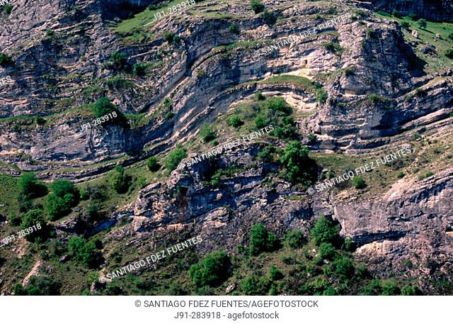 Erosion of the rocks in 'Hoces del Rio Dulce'. Guadalajara province. Castilla la Mancha, Spain