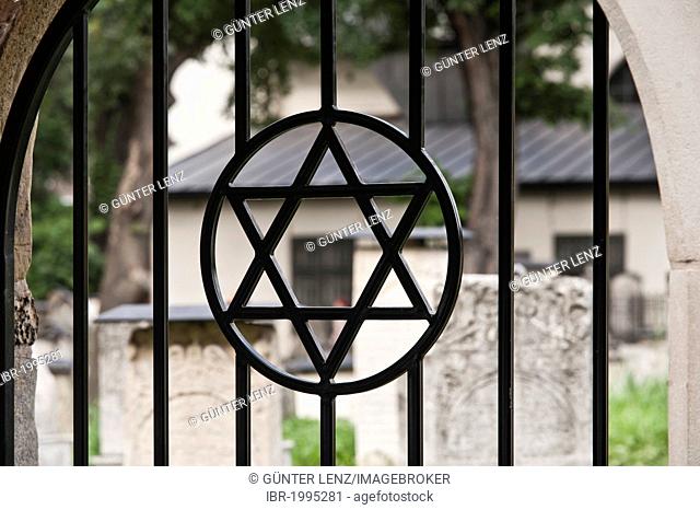 Star of David, Jewish cemetery, Kazimierz Jewish Quarter, Krakow, Malopolska, Poland, Europe, PublicGround