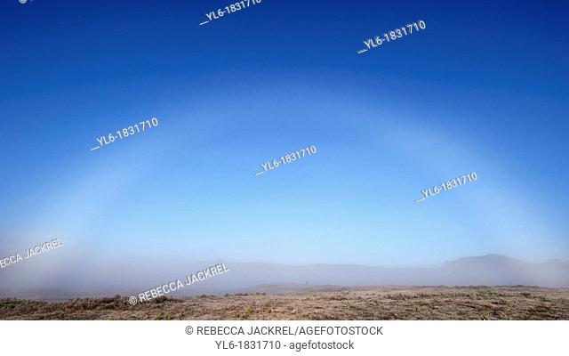 Fog bow in the Bale Mountains of Ethiopia