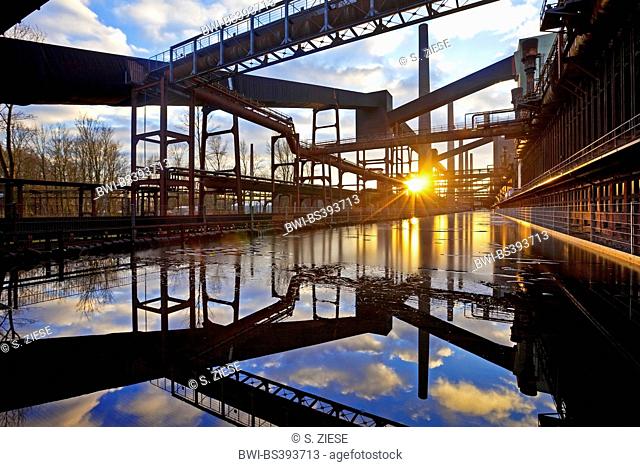 coking plant Zollverein, Germany, North Rhine-Westphalia, Ruhr Area, Essen