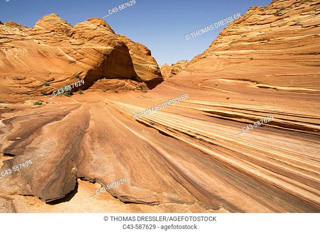 Beautiful red and yellow striated Navajo sandstone at the North Coyote Buttes. Paria Canyon-Vermilion Cliffs Wilderness, Vermilion Cliffs National Monument