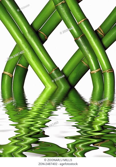 An image of braided bamboo