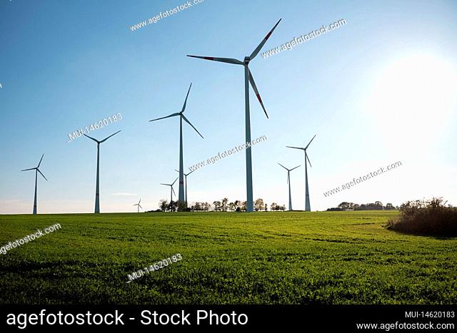 Wind turbine on a field in autumn in the evening