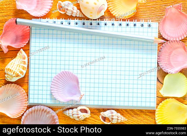 shells and note