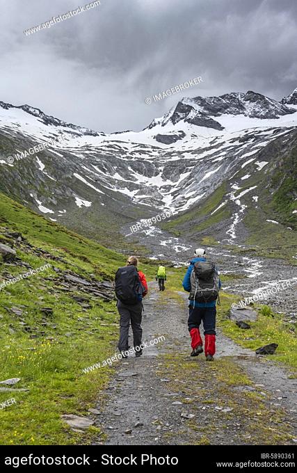 Wanderer im Tal bei schlechtem Wetter, Gletscher, Schlegeiskees, Schnee bedeckte Berggipfel, Hoher Weiszint, Berliner Höhenweg, Zillertal, Tirol, Österreich