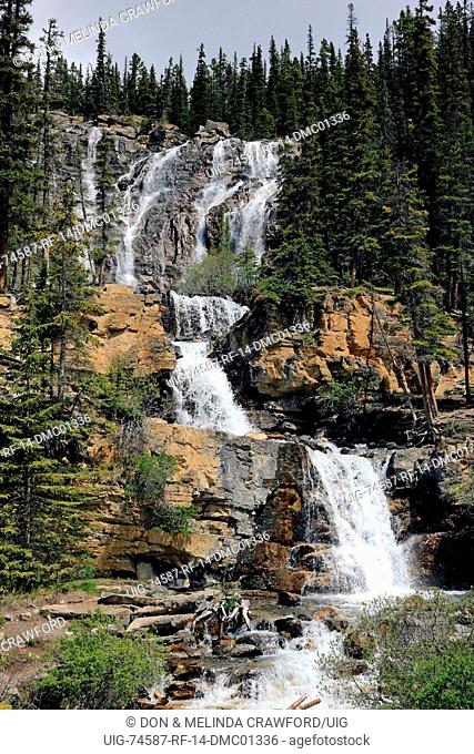 Tangle Creek Falls Jasper National Park Canada