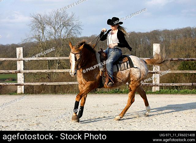 Young woman riding a horse in a Normandy ranch, France