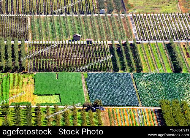 View from above for agricultural land near Saillon, Rhone Valley, Martigny district, canton Valais, Wallis canton, Switzerland, Europe