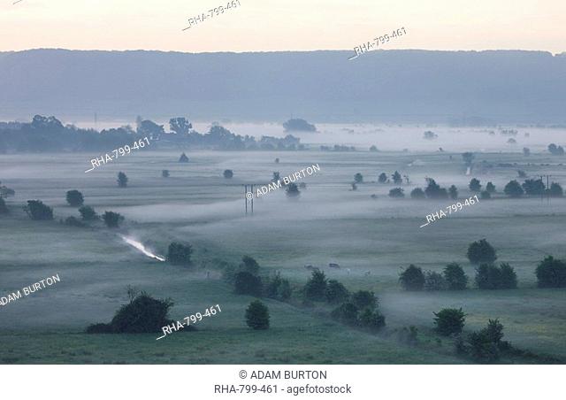 Mist shrouded fields at dawn on the Somerset Levels near Burrowbridge, Somerset, England, United Kingdom, Europe