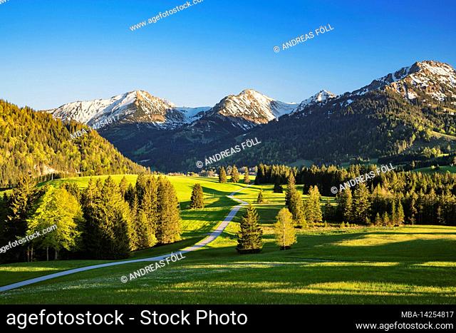 Sunset in the Allgäu Alps on a sunny spring day. View into the Tannheimer valley with Rohnenspitze and Ponten. Green meadows, forests and snow covered mountains