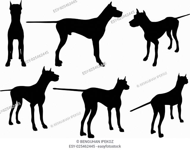 Vector Image - dog silhouette in still pose isolated on white background