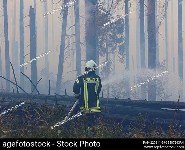 11 August 2022, Saxony-Anhalt, Schierke: Rescue forces of the fire department fight a larger forest fire in Schierke. Since 2 p.m