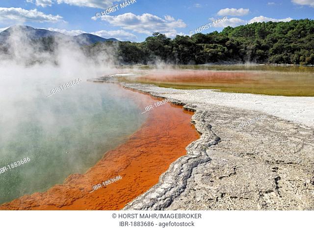 Champagne Pool, edge, coloration through antimony sulfides, Wai-O-Tapu Thermal Wonderland, Roturoa, North Island, New Zealand