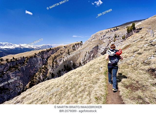 Hiker ascending the Stevia via ferrata in Langental or Vallunga near Selva, Mt Schlern or Sciliar in the back, Val Gardena, South Tyrol, Italy, Europe