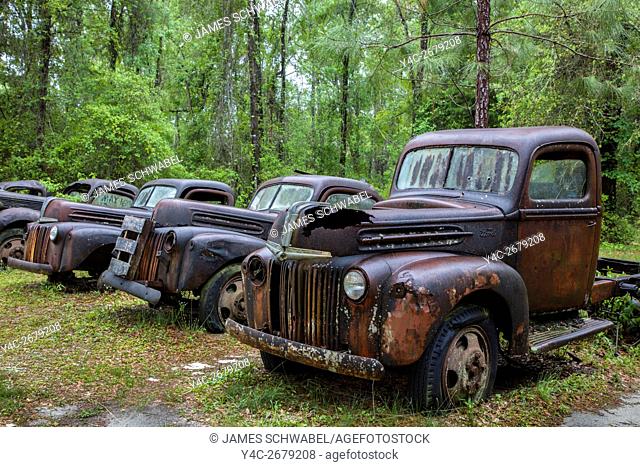 Old rusted abandoned cars and trucks in Crawfordville Florida