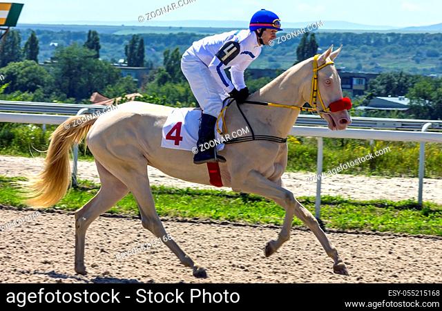Horse race for the prize Big Summer in Pyatigorsk, Northern Caucasus, Russia