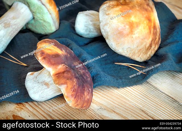On the table on a linen napkin are fresh mushrooms boletus