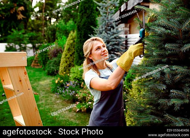 Attractive woman with pruners climbs the stairs in the garden. Female gardener takes care of plants outdoor, gardening hobby, florist lifestyle