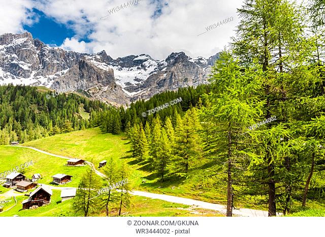 Austrian village surrounded by forests, meadows, fields and pastures on the background of snow-capped Alps