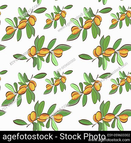 Seamless flat argan fruits pattern on white background