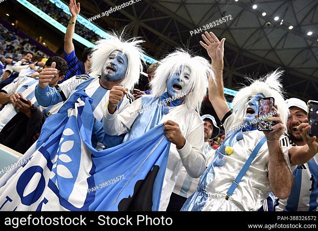 jubilation, joy, excitement of Argentinian fans, soccer fans, celebrating entering the final. Semi-final, semi-final game 61