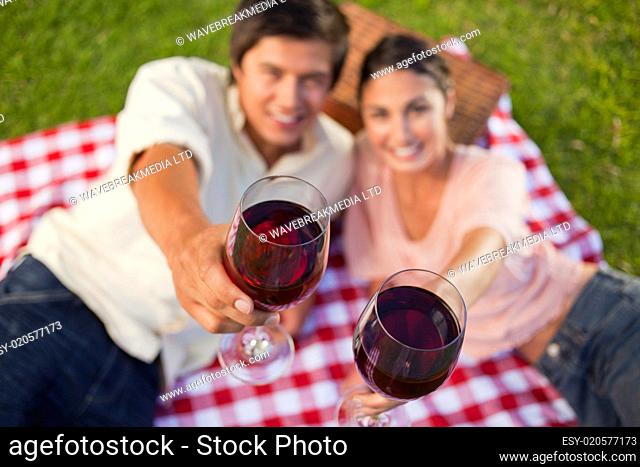Two friends raising their glasses of wine during a picnic