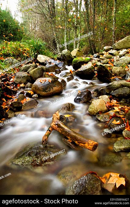 View of beautiful autumn set on a creek in Monchique, Portugal