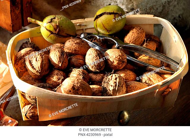 France, Bretagne, Taupont, organic nuts harvest with shells, two walnut stain, disposed in a little basket made of wood with a nut cracker in matel