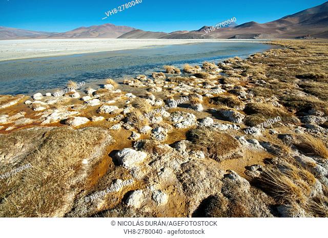 Santa Rosa Lagoon, Nevado Tres Cruces National Park, Region III of Atacama, Chile, South America