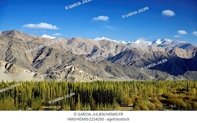 India, Jammu and Kashmir State, Himalaya, Ladakh, Indus valley, Thiksey gompa (Buddhist monastery)