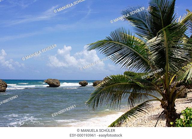 Ostküste Barbados