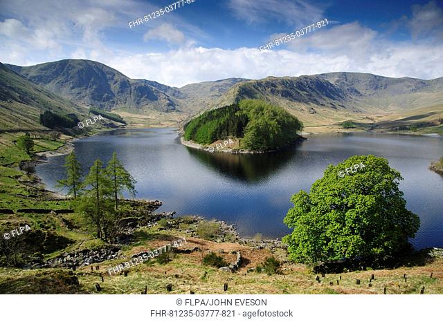 View of upland reservoir, Haweswater Reservoir, Mardale Valley, Lake District, Cumbria, England, april