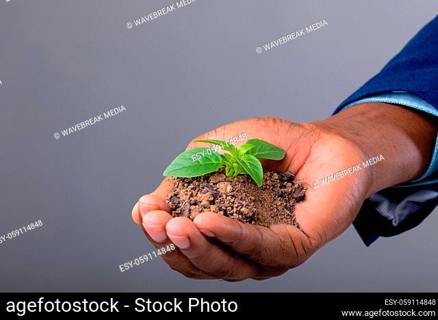 Close up of businessman holding a seedling against grey background