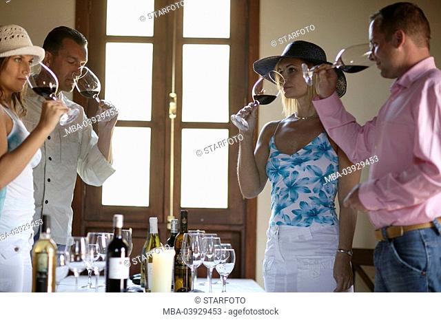Group, stands, wine-tasting, wine glasses, drinks, interior