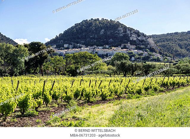 Séguret, Vaucluse, Provence, Provence-Alpes-Côte d'Azur, France, commune of Séguret in the canton of Vaison-la- Romaine, Arrondissement Carpentras