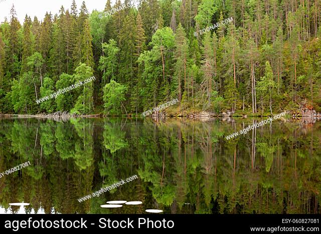 Landscape reflection from forest lake surface in Finland