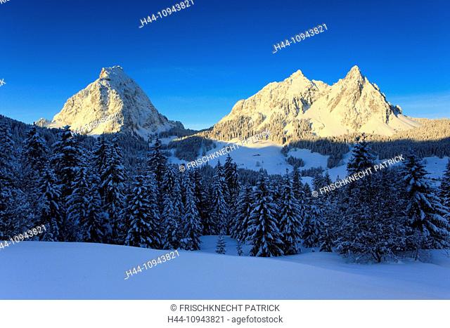 Alps, Alpine, panorama, view, mountain, mountains, massif, Brunni, trees, spruce, spruces, summits, peaks, big, Mythen, Central Switzerland, small, little