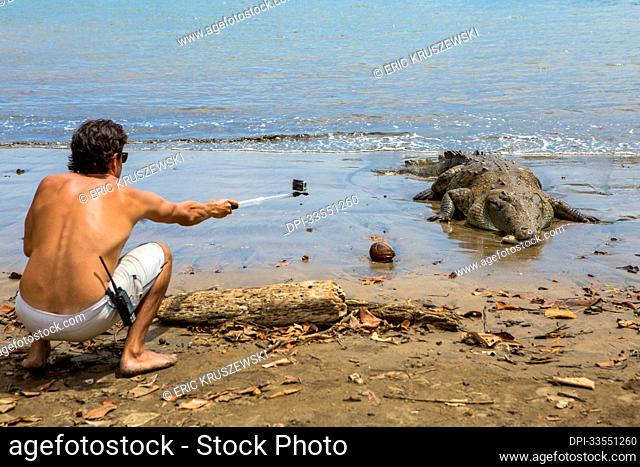 In Isla Coiba National Park, a visitor uses a telescopic extender attached to a camera to photograph an american crocodile (Crocodylus acutus) at close range;...