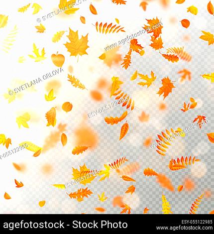 Effect of autumn falling leaves layer with shallow DOF blur. Autumnal foliage fall template. Warm color. EPS 10 vector file