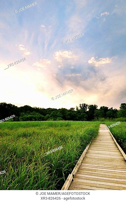 A boardwalk leads into a low area of the Minnesota River Valley in the Minnesota Valley National Wildlife Refuge